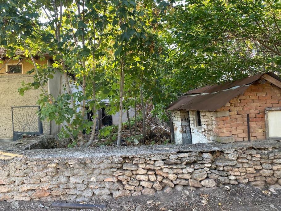 Ferienhaus Primorska Sunshine In Strandnaehe Shabla Exterior photo